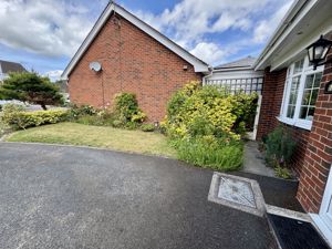 Front Garden- click for photo gallery